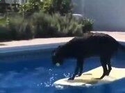 kaiyun体育app官网下载安卓版V3.5专业版