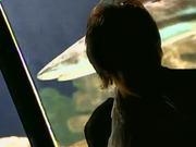 新人注册送28元彩金网站大全appV8.4专业版