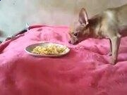 河南汽车维修平台APP