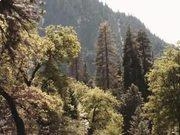 greenfoot(java开发环境)