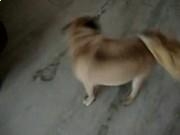 奥博体育app安卓版二维码