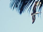 分分快三注册2025最新版大型核电站与铁路系统