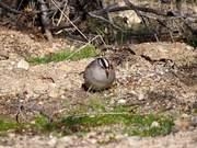 河南汽车维修平台APP