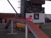 荒野之地2新大陆2025版新增水晶矿洞环境