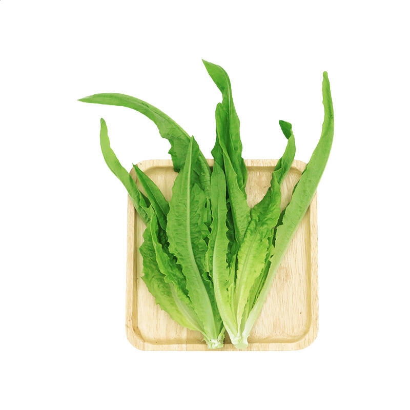 河南汽车维修平台APP