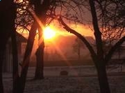 kaiyun.cn登录入口登录app下载V1.4专业版