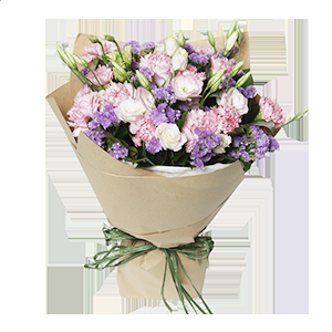 uc浏览器苹果旧版本