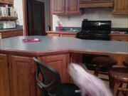 河南汽车维修平台APP