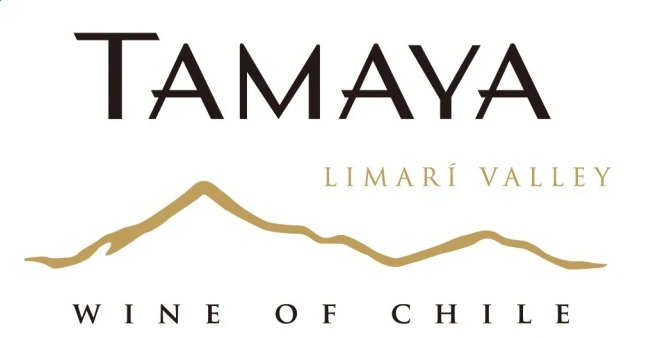 澳门精准免费资料大全app2025最新版武学战斗特效展示