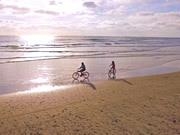 地球灭亡前60秒2025版游戏主界面截图