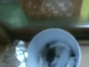 河南汽车维修平台APP