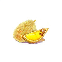 XK星空app安卓版二维码