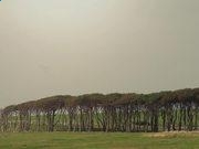 新濠娱乐安卓版下载V7.4专业版