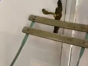 pg模拟器登录安卓版二维码