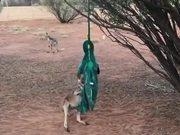 河南汽车维修平台APP