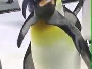 平顶山安全教育平台管理系统