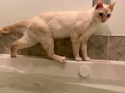 鸭脖体育appV2.2专业版