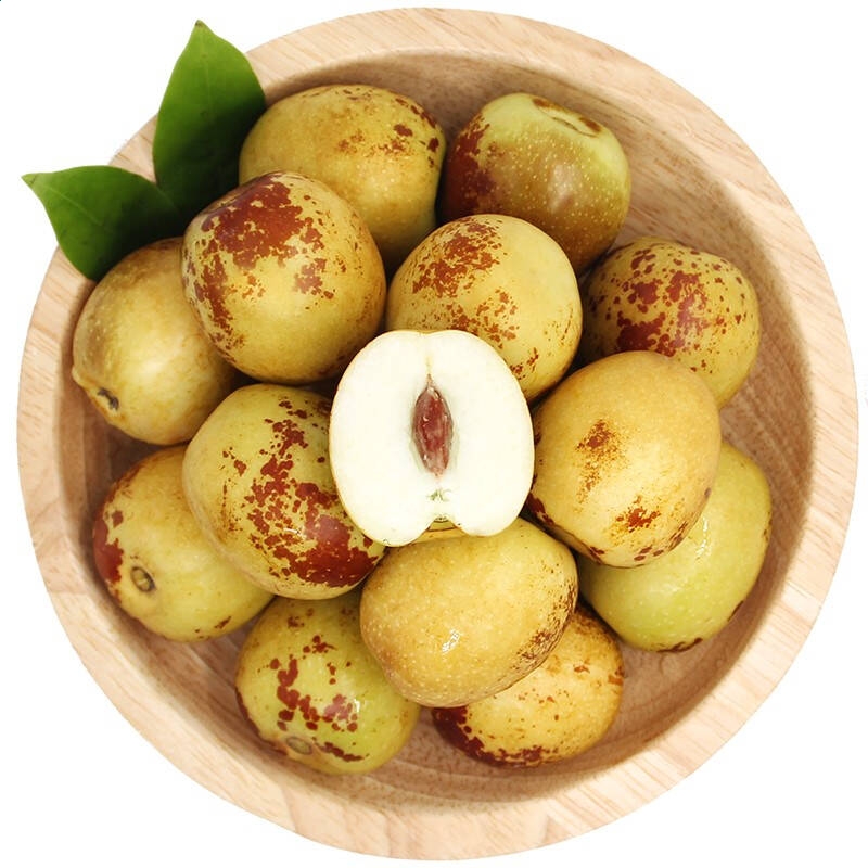 kaiyun体育app官网登录入口安卓版二维码