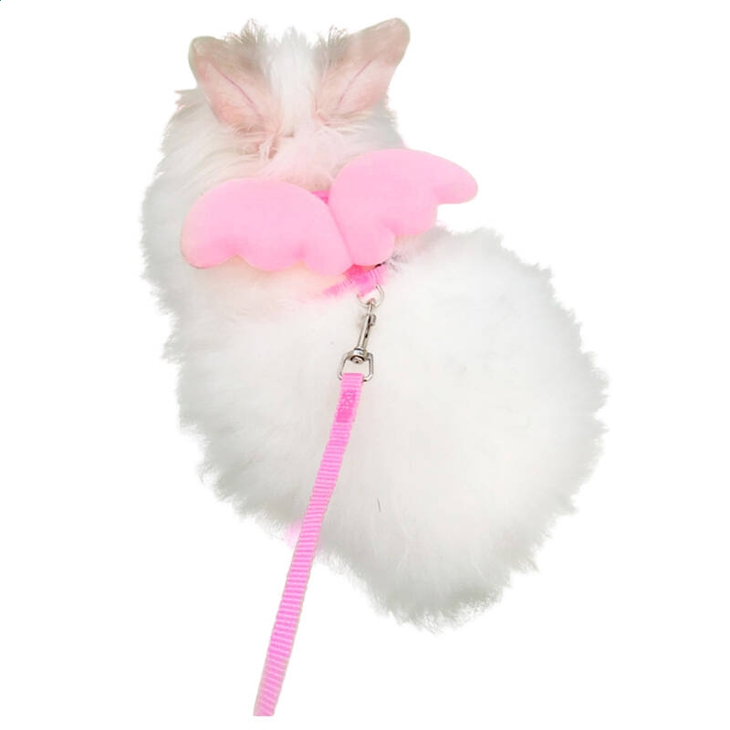 开全站appV5.8专业版