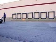 vivo梦幻模拟战手游