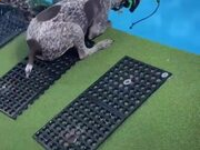 傻缺大乱斗第三章2025版角色养成界面