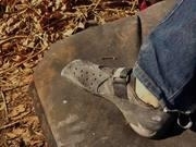 凯发国际集团appV4.1专业版