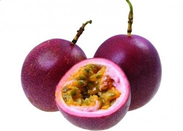 HG6686登录2025版新增云海秘境地图场景