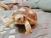 1077cc彩票网appV4.7专业版