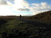 100 Toilets 百厕逃脱