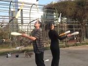 星娱乐appV9.2专业版