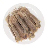 竞彩足球比分500 2025最新版 爆破模式对战画面