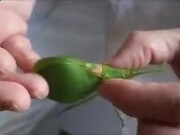 美业易企秀软件