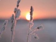 澳门49彩票app安卓版二维码