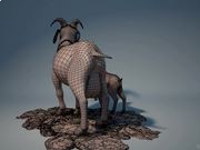 BOB综合手机APPV8.4专业版