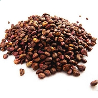 博鱼体育appV4.6专业版