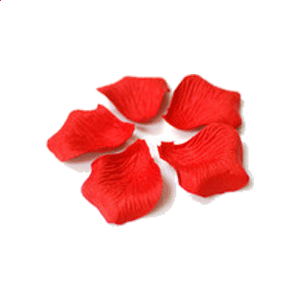 kaiyun.cc网页版登录入口V7.8专业版