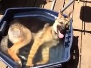 河南汽车维修平台APP