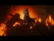 澳门永利休闲娱场官方网V4.9专业版