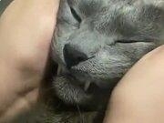 安博体育appV1.3专业版