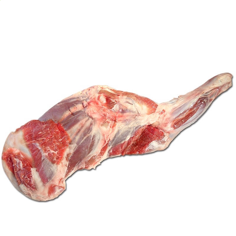 手机编程100例最新版