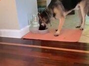 博乐体育登录2025最新版海底场景展示