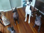 草虫的村落教学设计