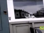 足球体育平台appappV5.4专业版