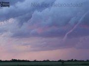 《捕鱼appapp》2025最新版家族树与人物关系图