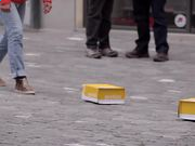 开云app官方版入口V3.7专业版