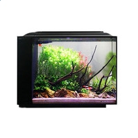 百家乐软件2025版车队基地管理界面