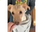 kaiyun体育app官网登录教程安卓版二维码