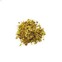 MrcatappV1.2专业版