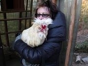 旺旺彩票appV3.4专业版