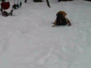 智彩app 2025版 战斗场景与武将特写